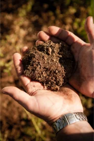 World Soil Day:Moët Hennessy reaffirms its commitment to preserve Soil Health