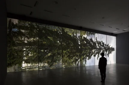 Expositions