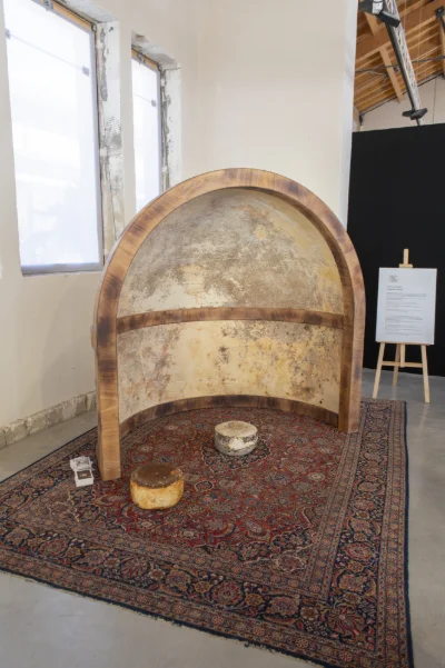 MYCELIUM ORACLE